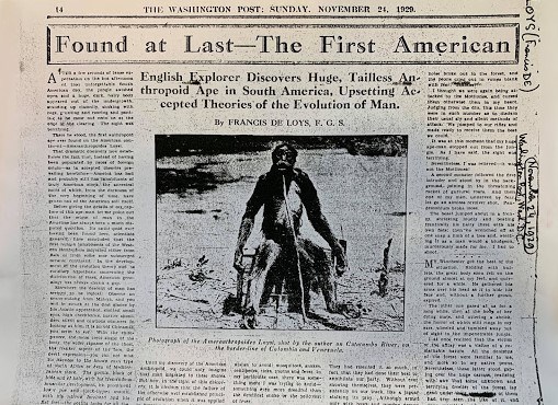 ameranthropoides Washington Postjpg