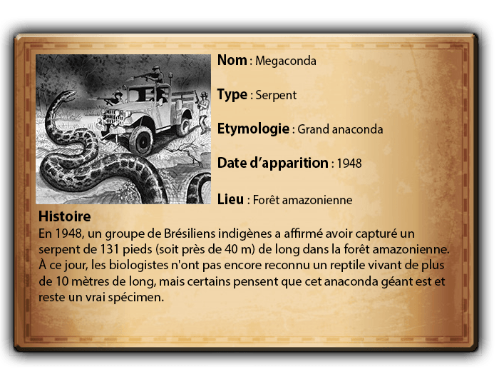 carte identité Megaconda.png