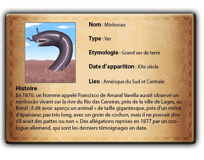 carte identité Minhocao.png