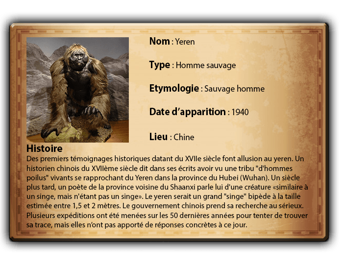 carte identité yeren.png